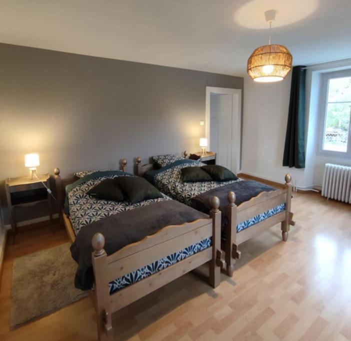 Gite Cosy Avec Avec Jardin Et Parking Privatifs - Hautes Vosges Saint-Ame Экстерьер фото