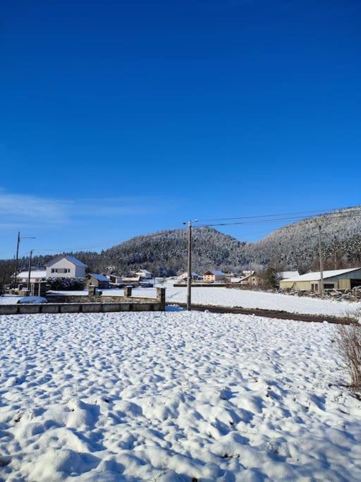 Gite Cosy Avec Avec Jardin Et Parking Privatifs - Hautes Vosges Saint-Ame Экстерьер фото